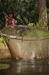 Fox Horizon X4 Landing Net Combo