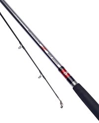 Daiwa Seahunter Z Bass Rod