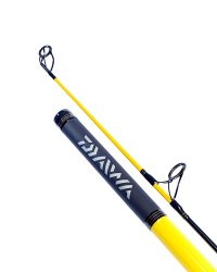 Daiwa Sandstorm Surf Rod