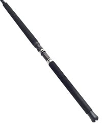 Daiwa Team X Boat Rod