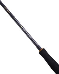 Daiwa BG Seabass Rod