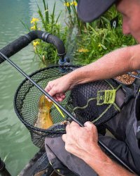 Matrix Carp Scoop Landing Net