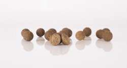 Nash Scopex Squid Stabilised Boilies 1kg