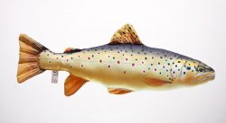 Gaby Brown Trout Pillow