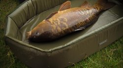 Trakker Sanctuary Self Inflating Crib