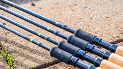 Preston Dura Carp Feeder Rod