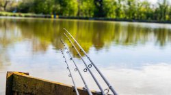 Preston Dura Carp Feeder Rod