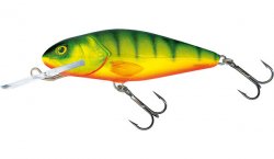 Salmo Perch