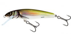 Salmo Minnow