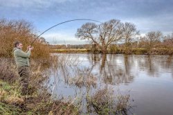 Korum Barbel Rods