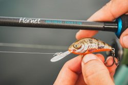 Salmo Hornet Pro Finesse Rod