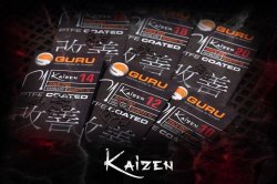 Guru Kaizen hooks