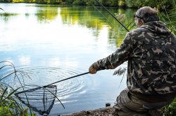 Fox EOS Landing Net Combo