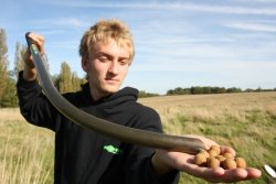 Korda Eazi Throwing Stick