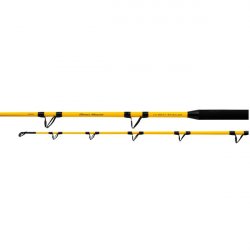 Shimano Beastmaster CX Boat Rod