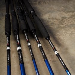 Savage Gear SG2 All Round Spinning Rod