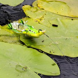 Savage Gear 3D Hollow Duckling Weedless Lure