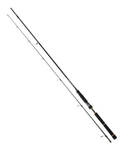 Daiwa BG Seabass Rod