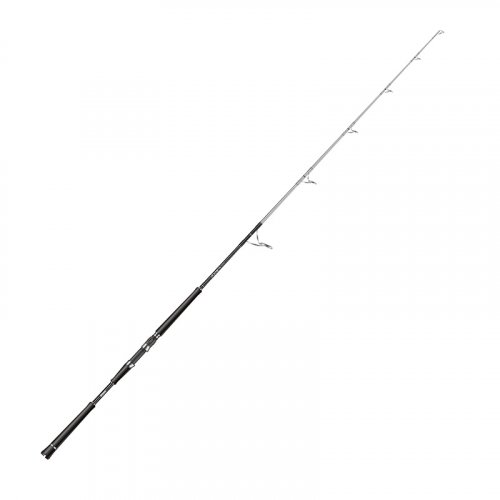 Okuma Azores Boat Rod